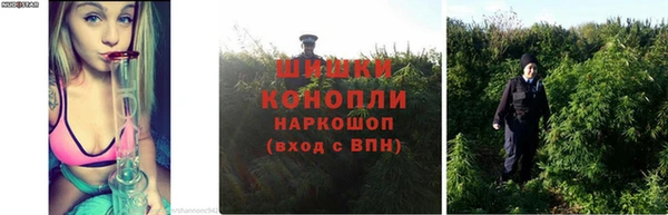 альфа пвп Володарск