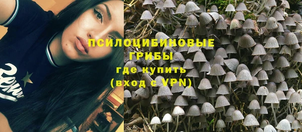 альфа пвп Володарск